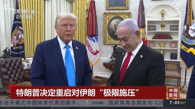 这种