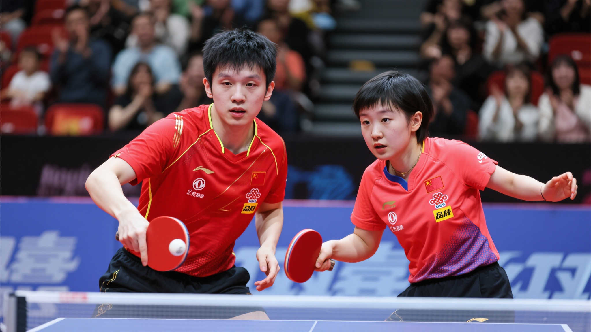 被申請註冊 被申請註冊